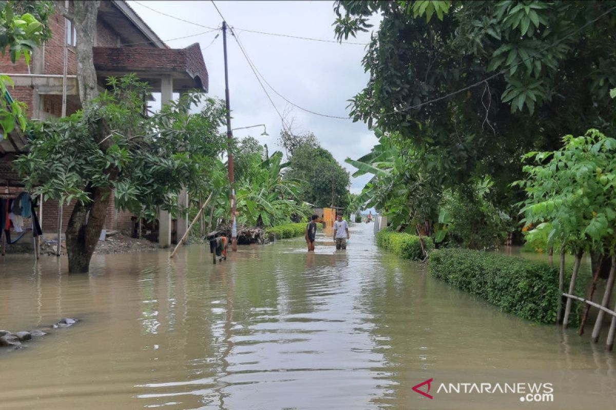 Air laut pasang merendam 187 rumah warga di Kota Tegal