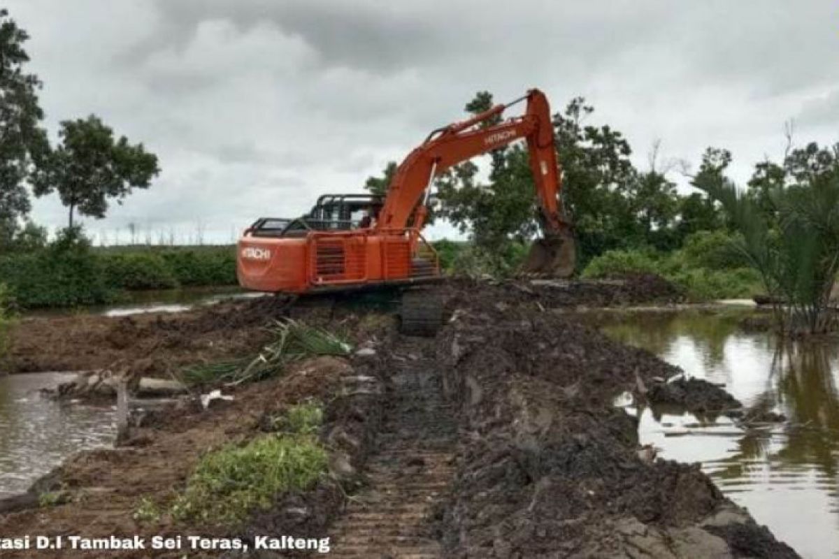 Irigasi di Kalteng bakal direhabilitasi, dukung lumbung pangan baru