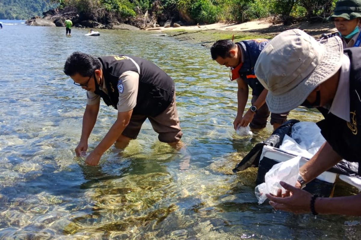 SKIPM Padang lepas liar 95.610 benih lobster