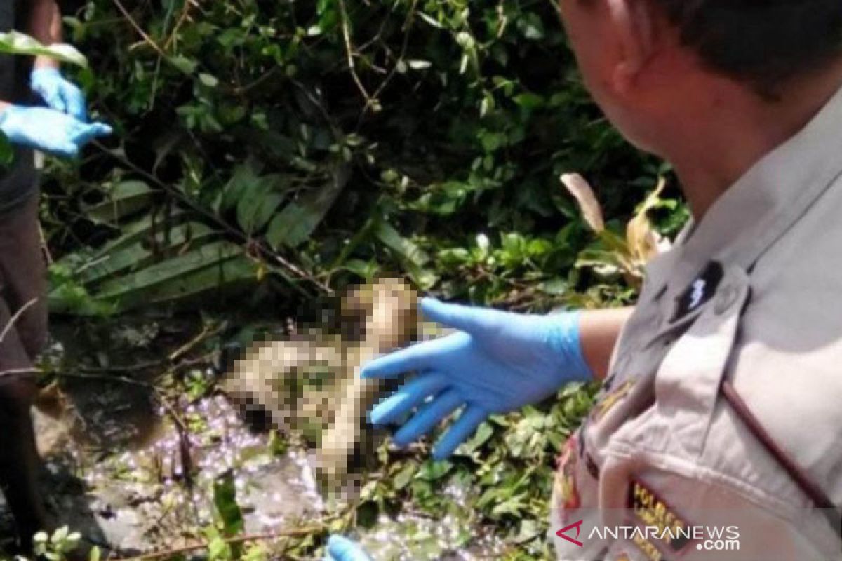 Polisi tangkap suami istri bunuh ibu rumah tangga