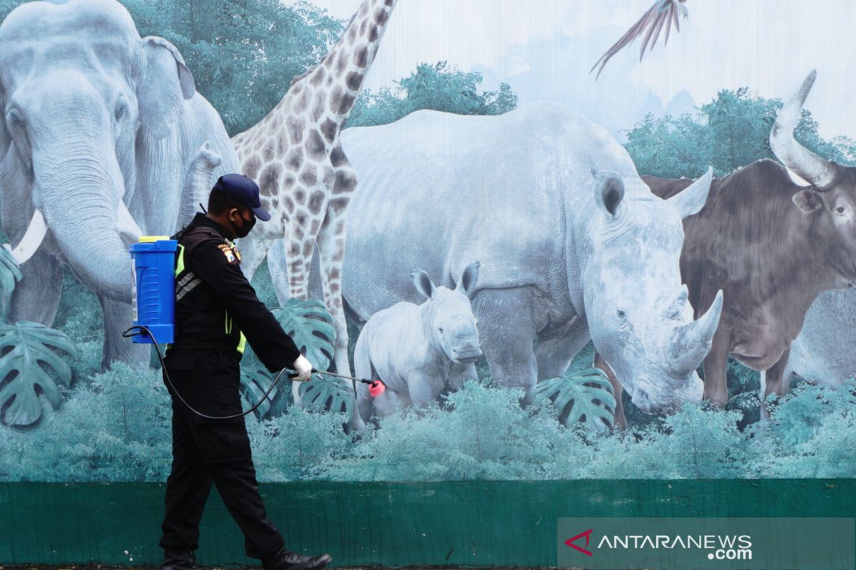 Taman Safari Prigen bersolek sambut 