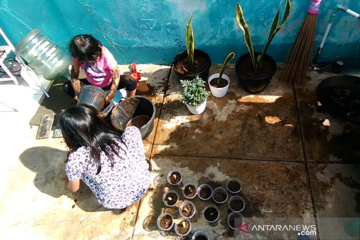 Pelajar di Kabupaten Garut dapat bibit sayuran atasi dampak COVID-19