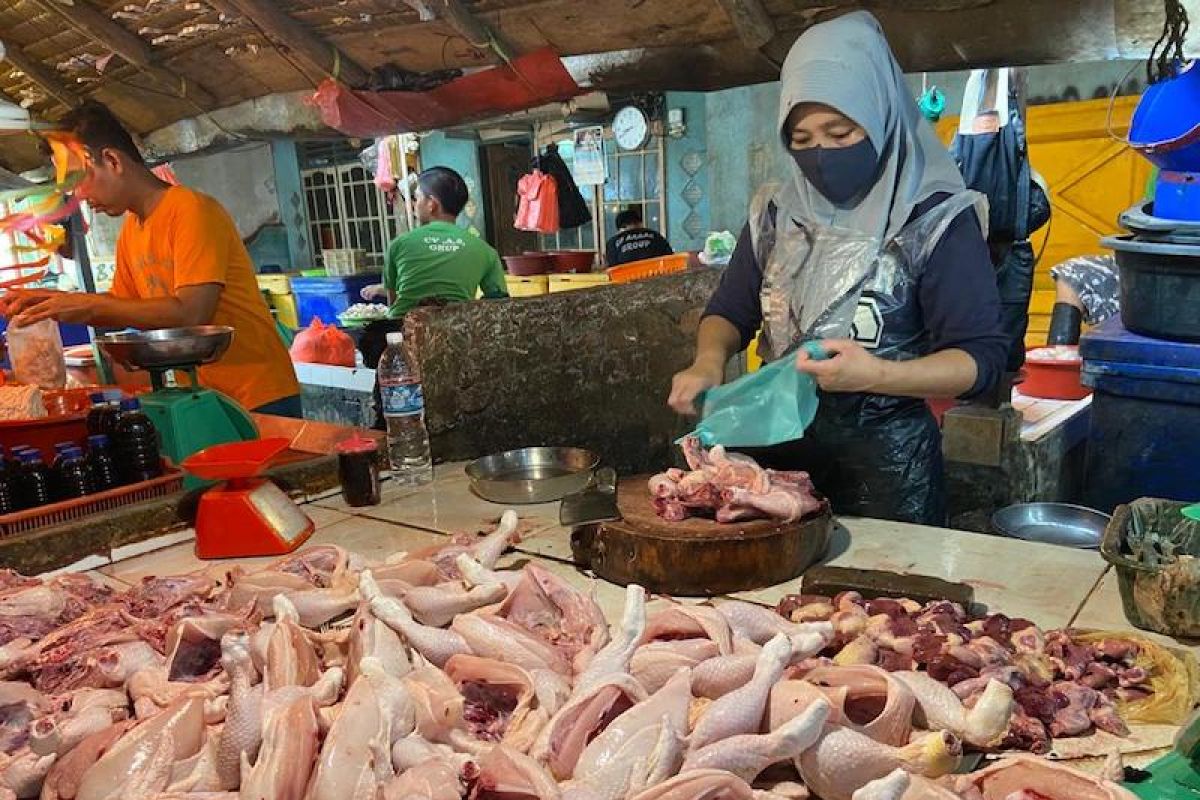 Harga ayam potong di Palembang melonjak Rp40.000/Kg