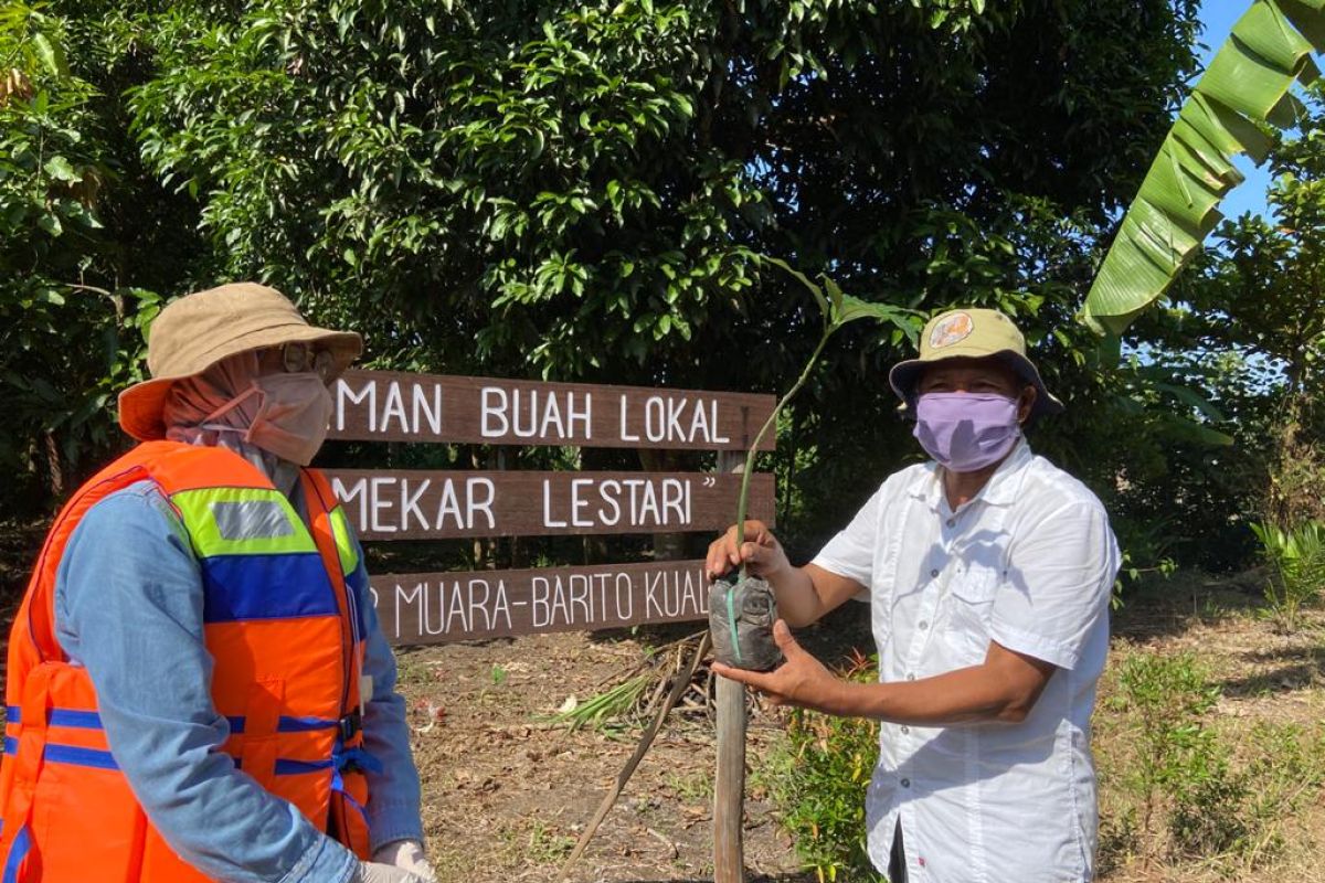 SBI dan DLH Kalsel tanam 10 ribu pohon Kasturi peringati Hari Lingkungan Hidup