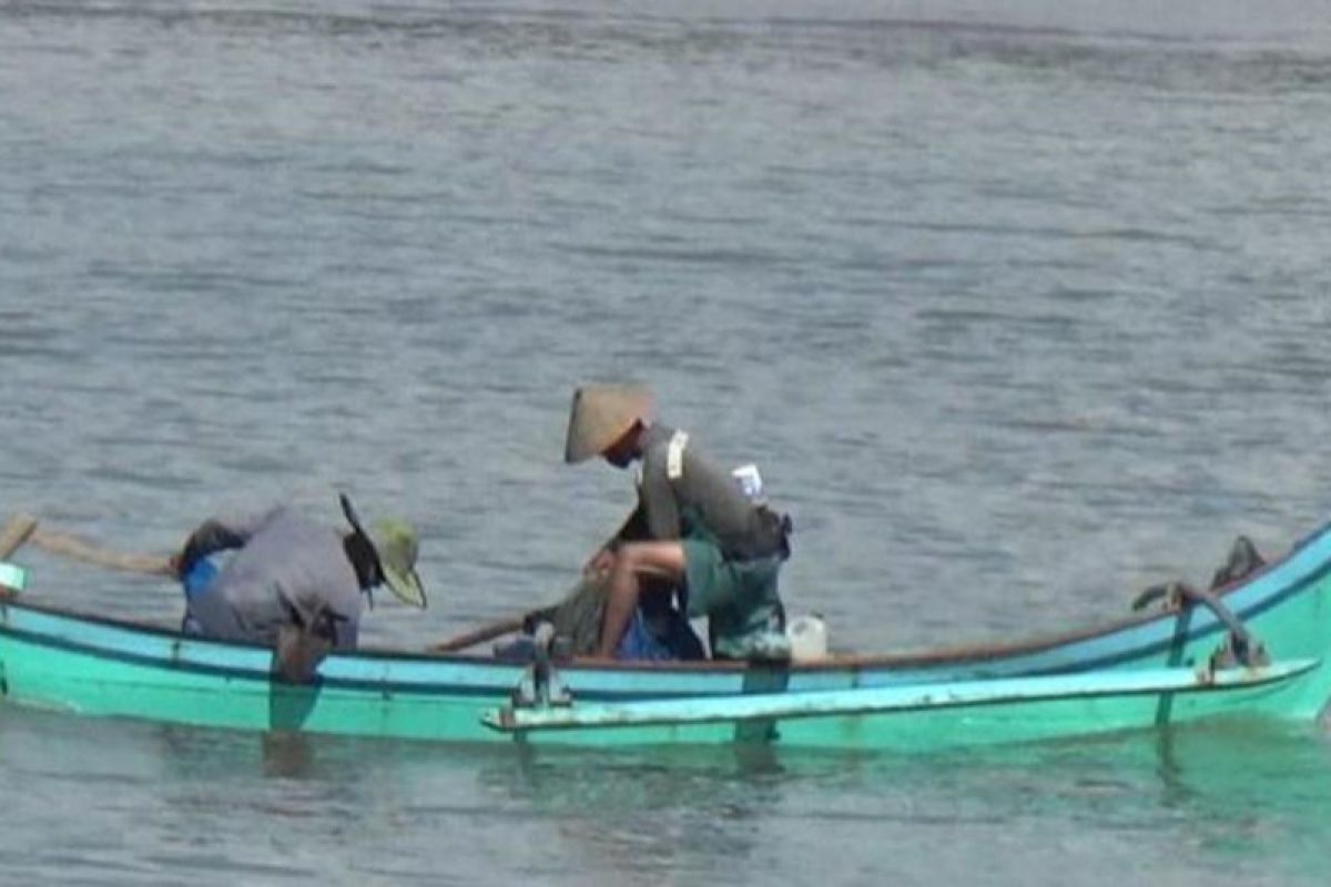 Nelayan Sulut tetap sejahtera  ditengah pandemi COVID-19