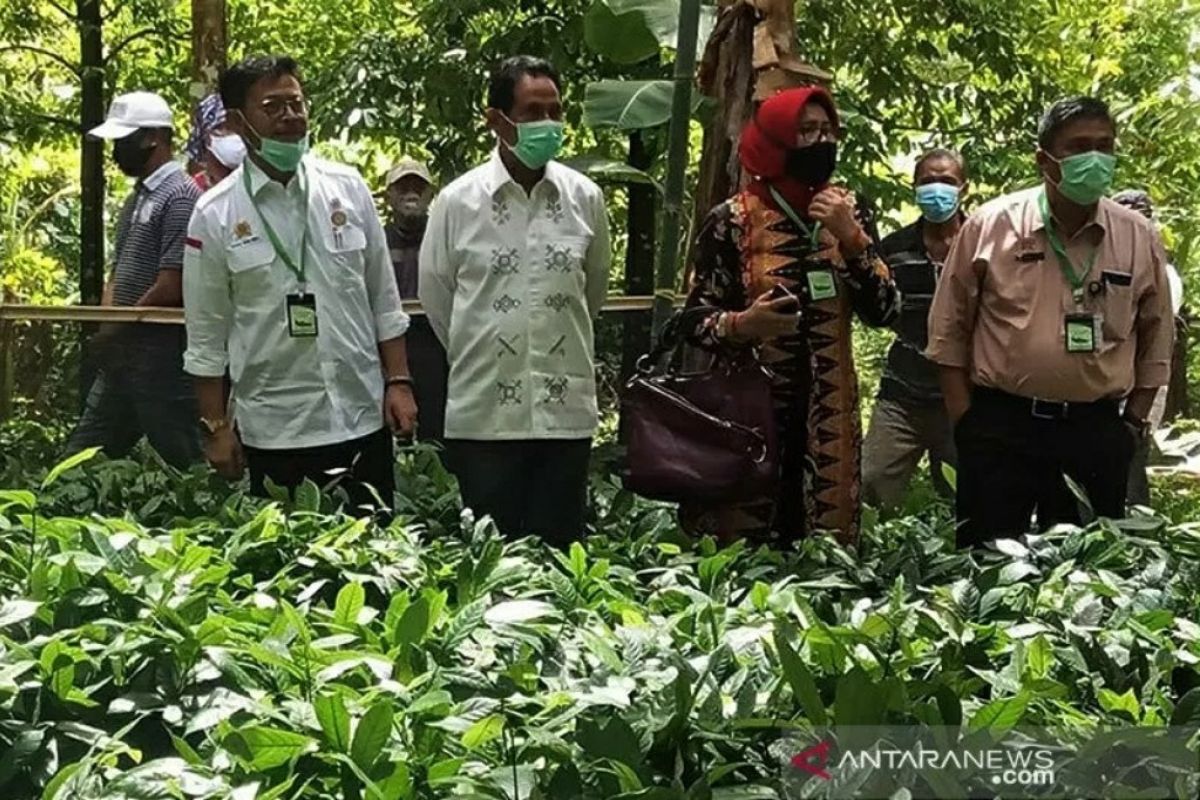 Masuki "new normal", Mentan: bahan pokok cukup dan terkendali