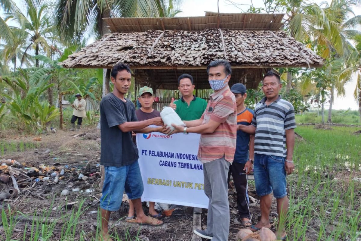 Pelindo I Tembilahan bantu 150 kg pupuk untuk Poktan Tanjung Harapan Jaya