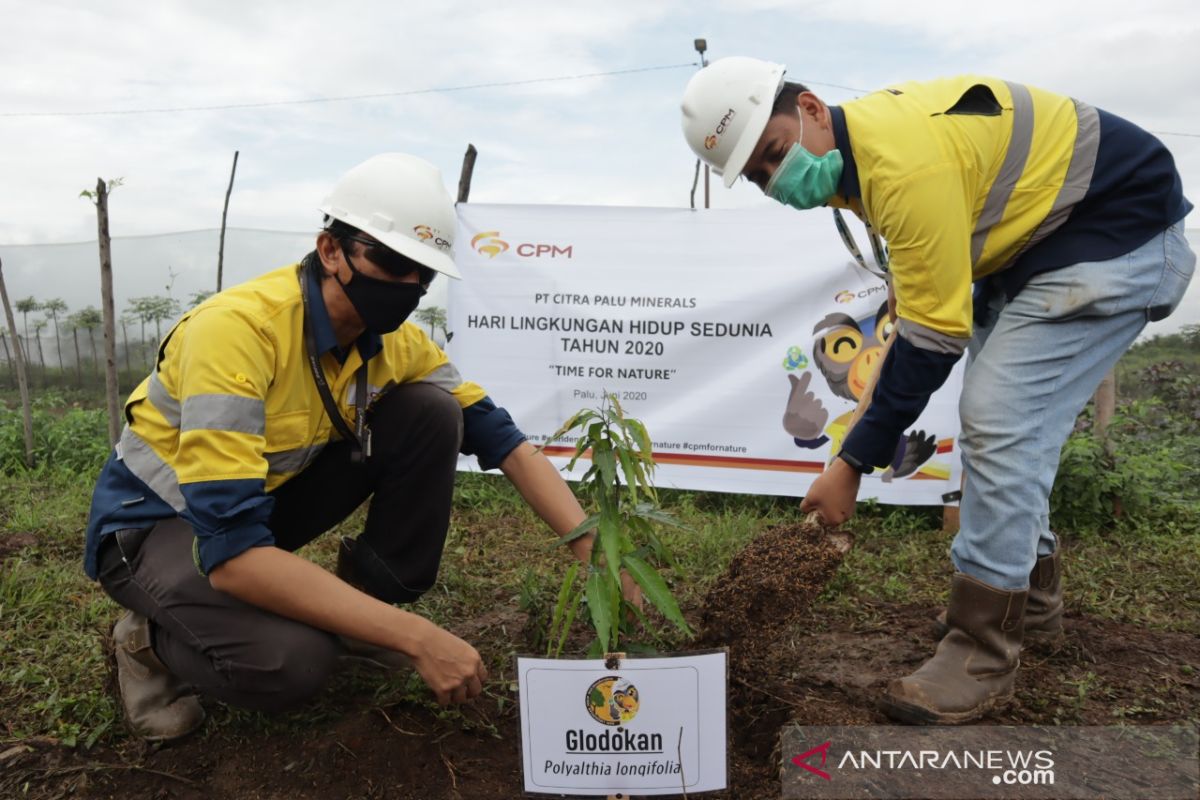 PT CPM tanam pohon di lokasi tambang di hari lingkungan hidup