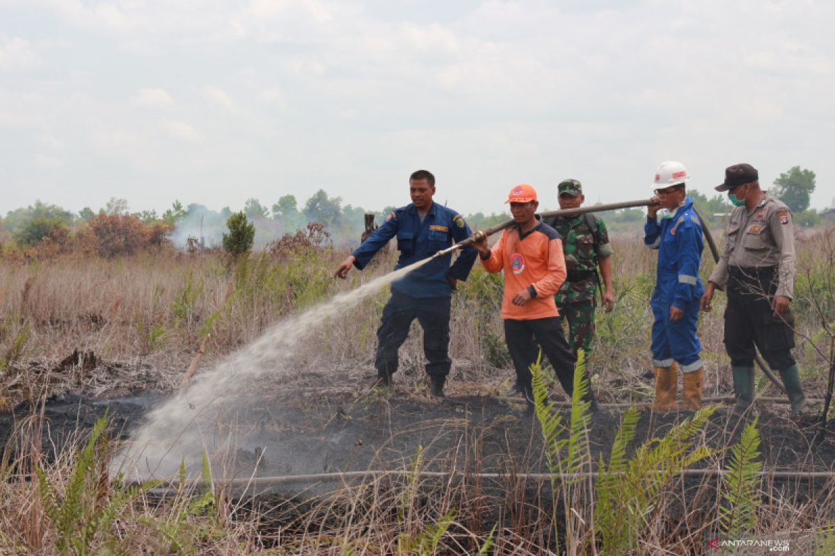 Walhi Sumsel minta perusahaan pemegang izin HGU cegah kebakaran hutan