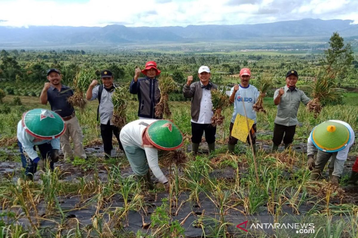 Legislator harapkan kinerja Kementan lebih optimal perjuangkan petani