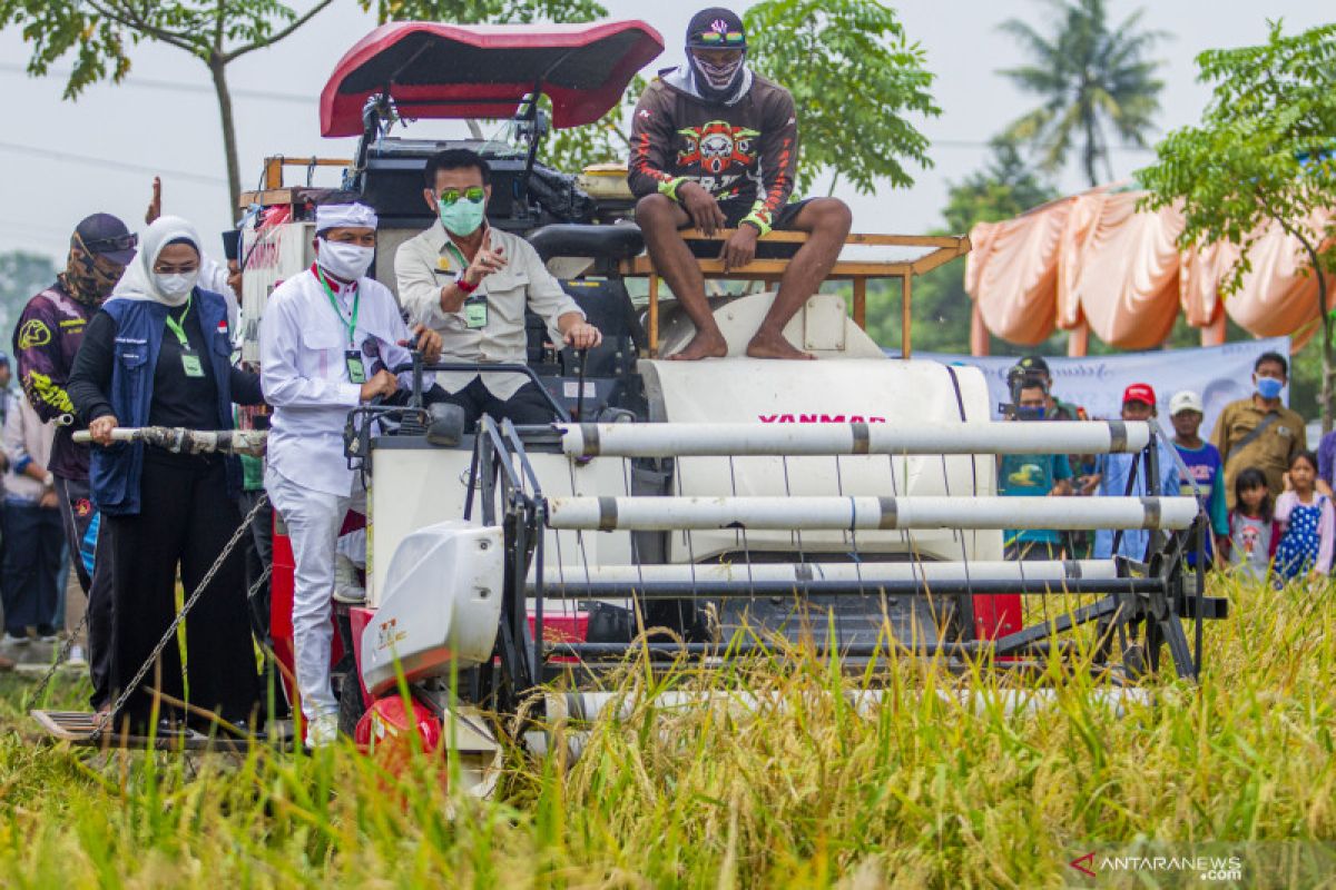 Mentan ajak masyarakat bijak pilih pangan hewani