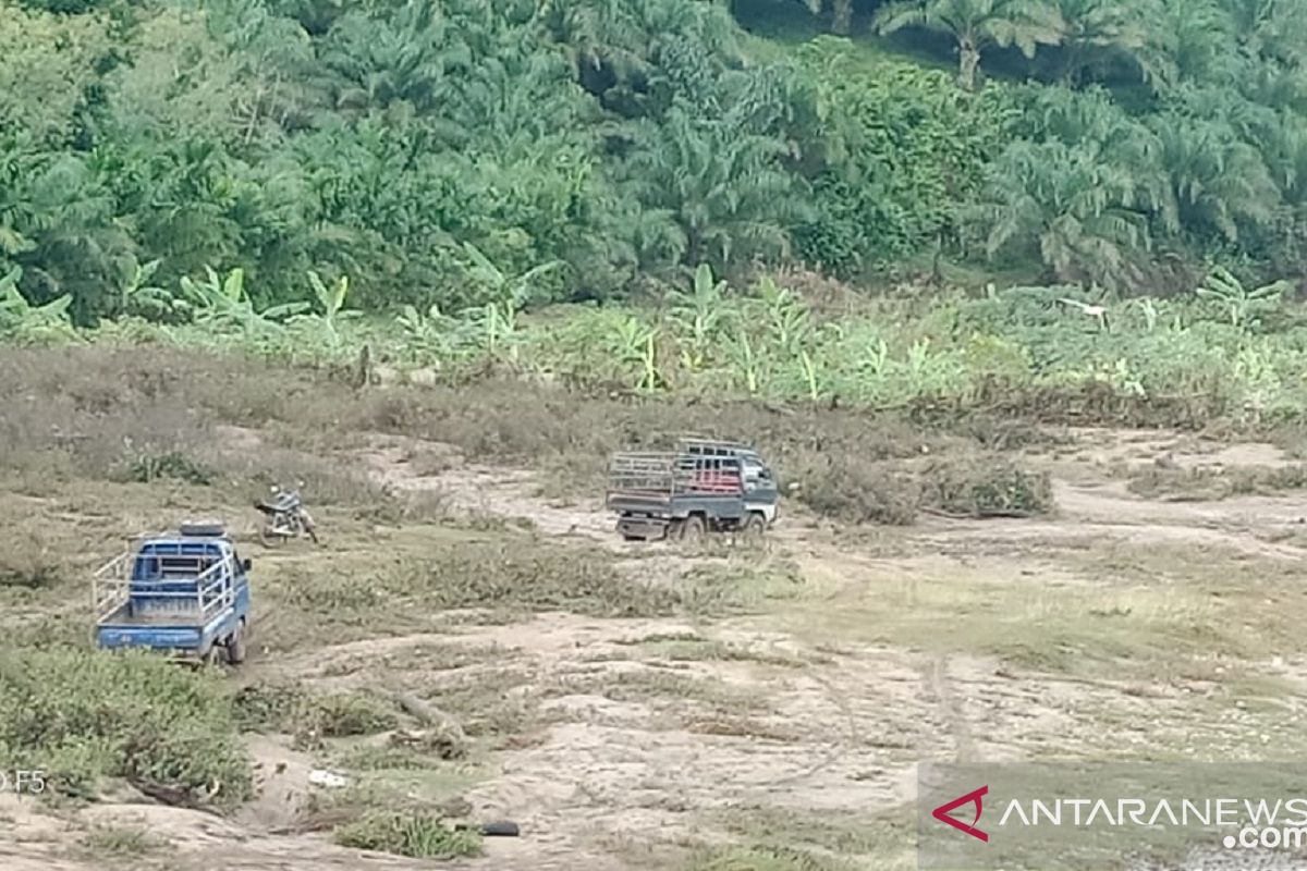 Tiga hektare lahan jagung di Mukomuko rusak akibat banjir