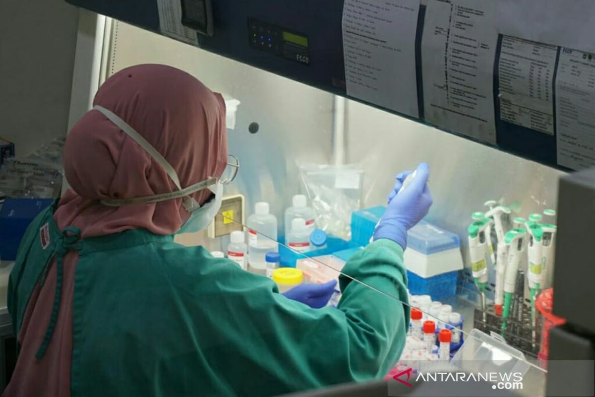 3.225 orang di Sumsel masih menunggu hasil uji swab