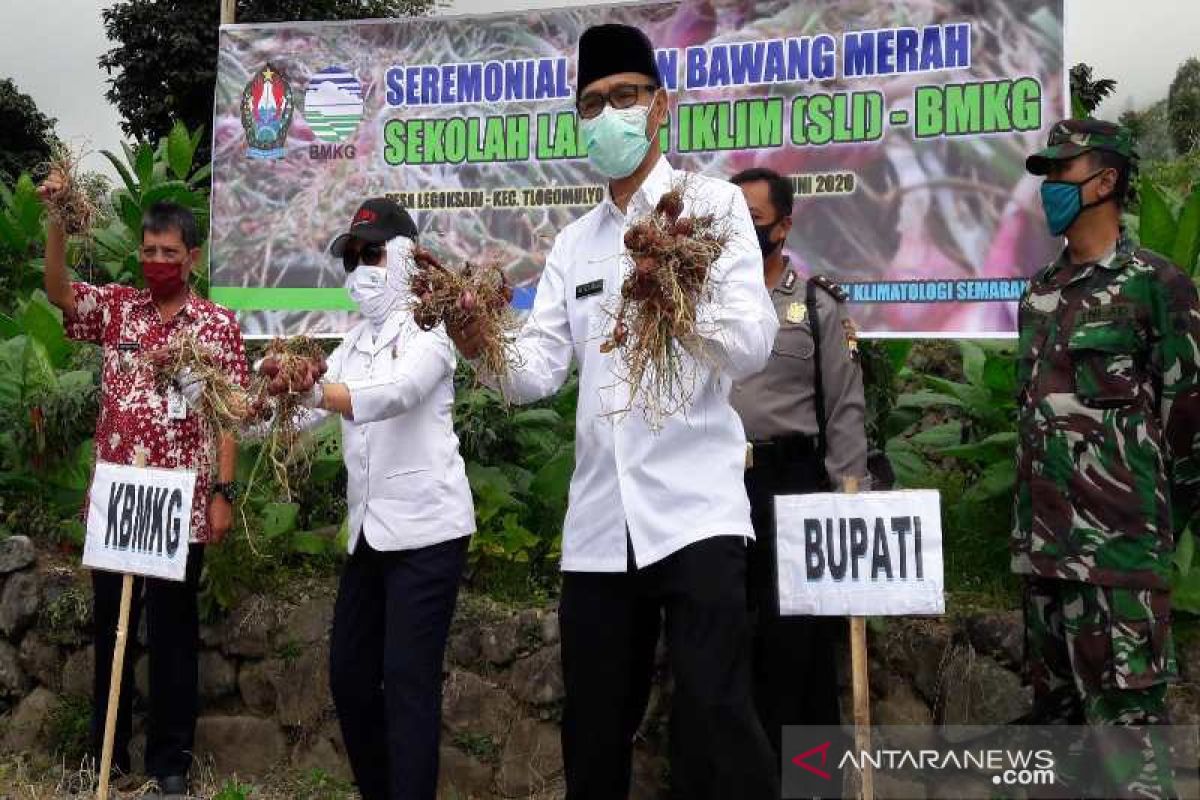 Untuk bercocok tanam, petani manfaatkan informasi iklim