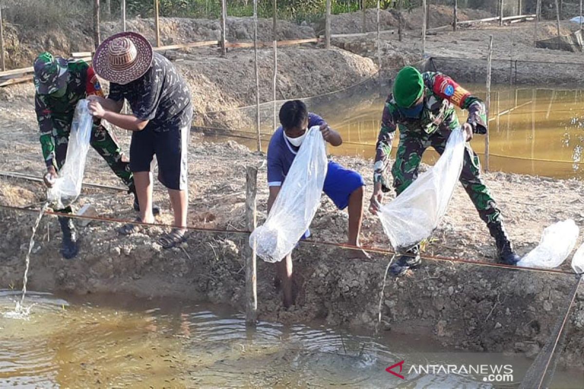 Babinsa Teweh Tengah dan warga budi daya ikan untuk perkuat ketahanan pangan