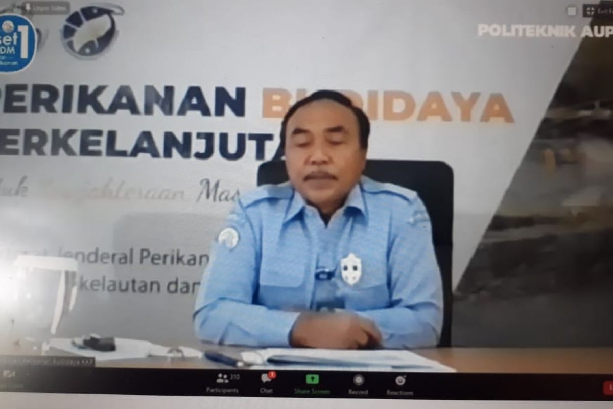 KKP buat Sukabumi menjadi percontohan budidaya udang berkelanjutan