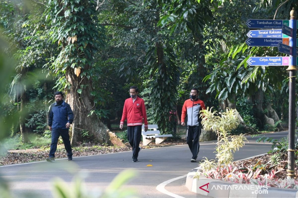 Jokowi calls on Indonesians to exercise to boost immune system