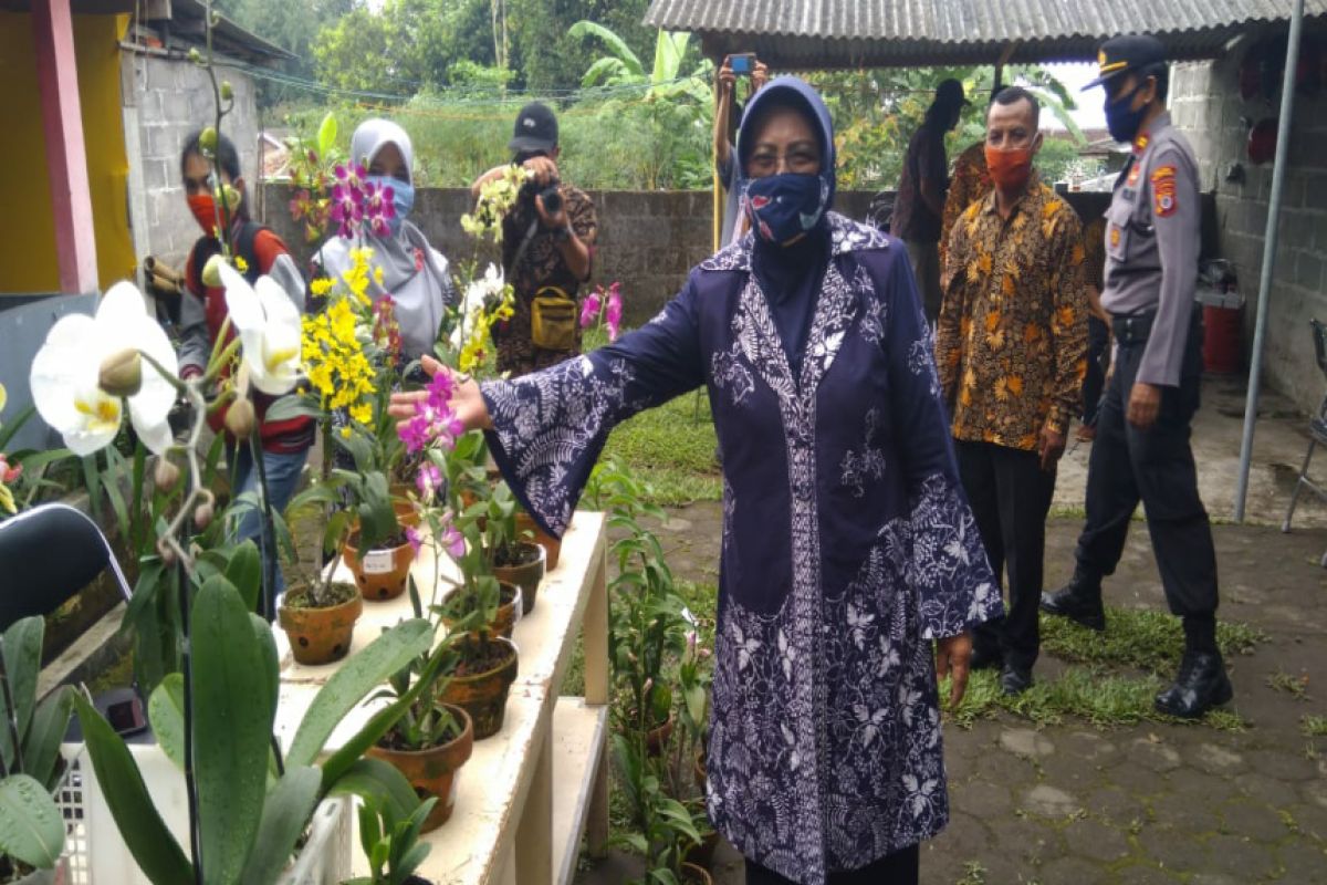 Wabup Sleman canangkan rintisan kampung pelestarian anggrek Merapi