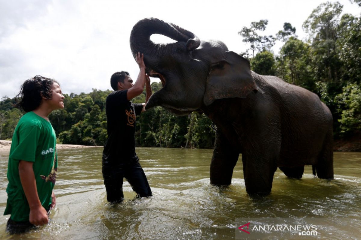 Wisata konservasi masa normal baru