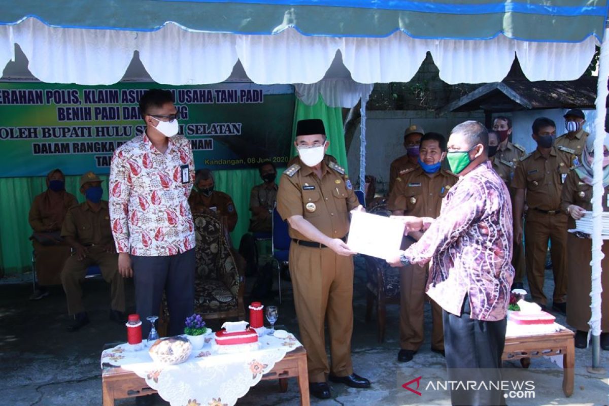 Jamin keberlangsungan usaha, lahan padi dan ternak di HSS diasuransikan