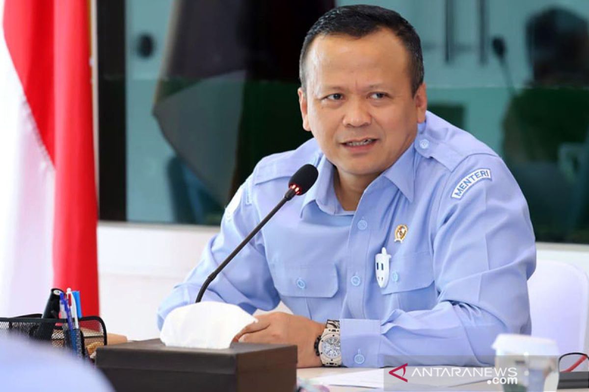 Menteri Edhy Prabowo ungkap keuntungan dalam berbisnis udang