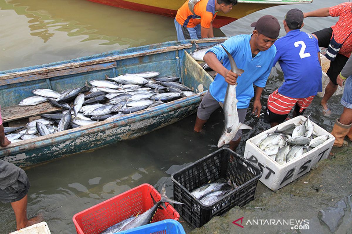 Ini penyebab naiknya harga ikan di Abdya