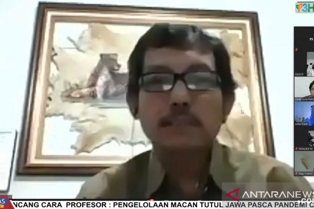 Peneliti: Habitat ancaman utama macan tutul jawa