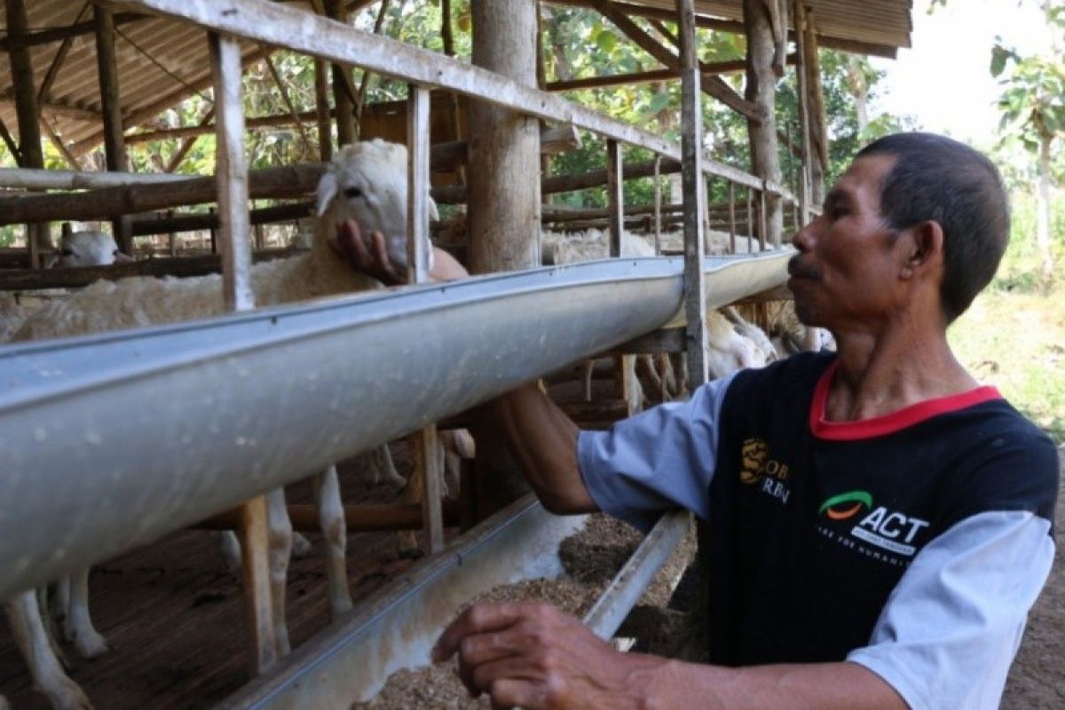 ACT ajak masyarakat untuk menjadi agen kurban