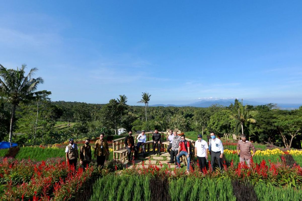 Agrowisata Tamansuruh Banyuwangi jadi bagian program pengembangan kawasan strategis pariwisata nasional