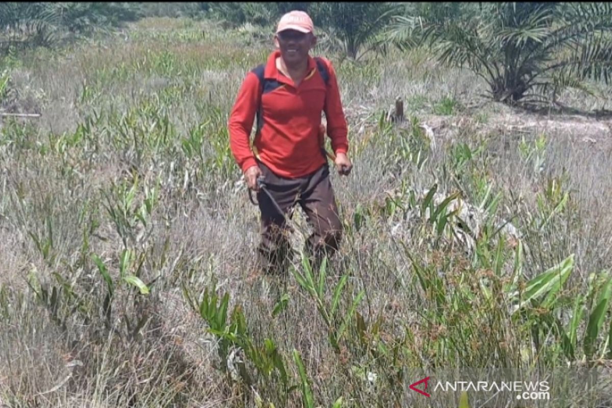 Iskandar, politisi yang hobi berkebun