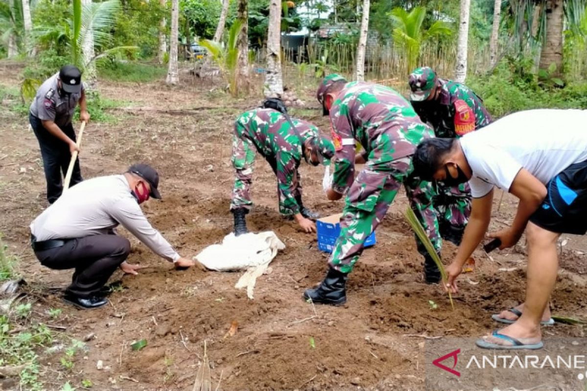 TNI-Polri di Sangihe buka lahan untuk tanaman jagung