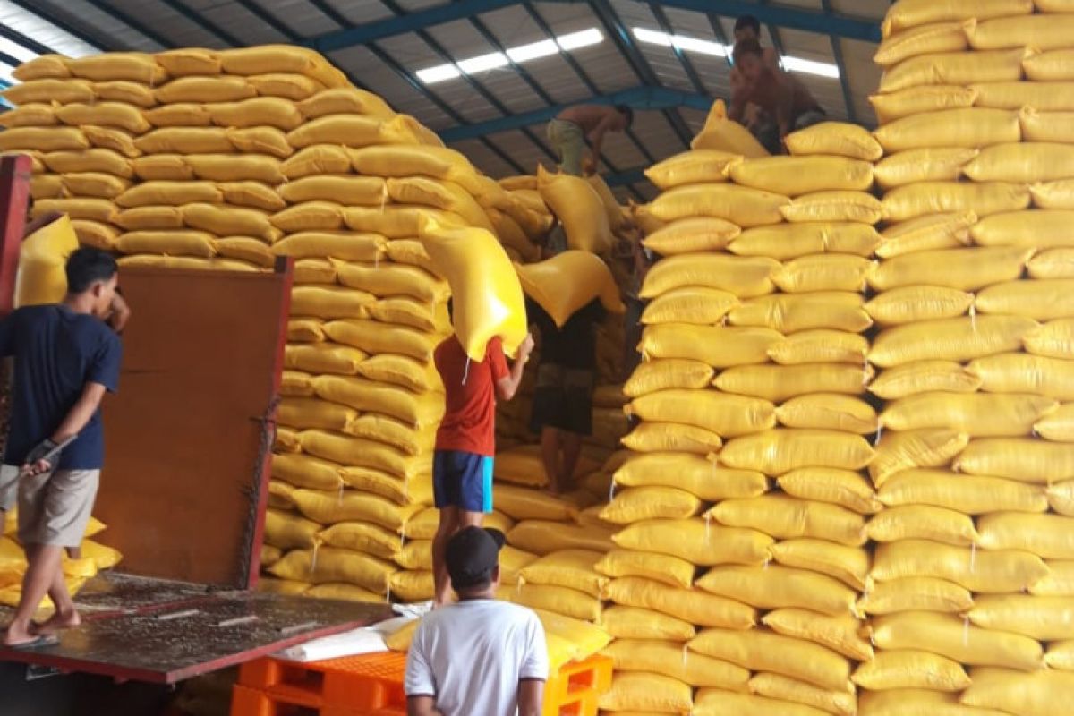 Realisasi penyerapan beras petani oleh Bulog Sultra capai 12.000 ton