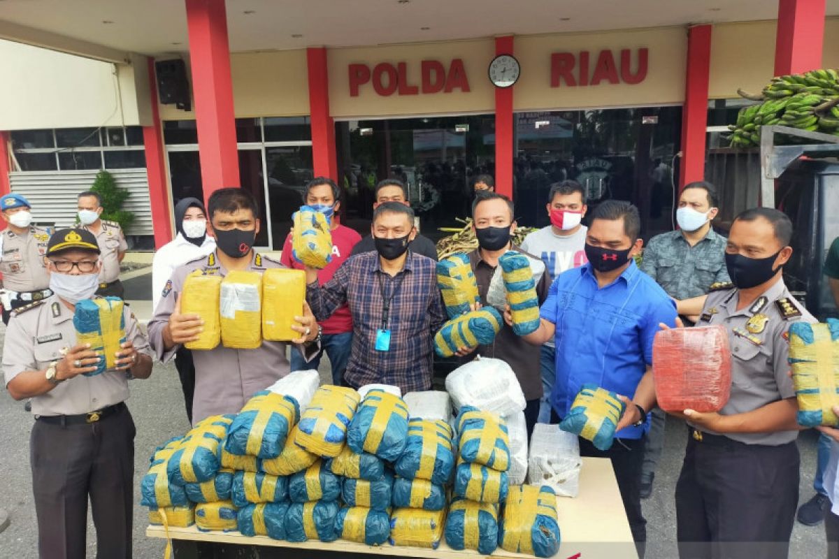 Polda Riau sita 100 kilogram ganja Aceh