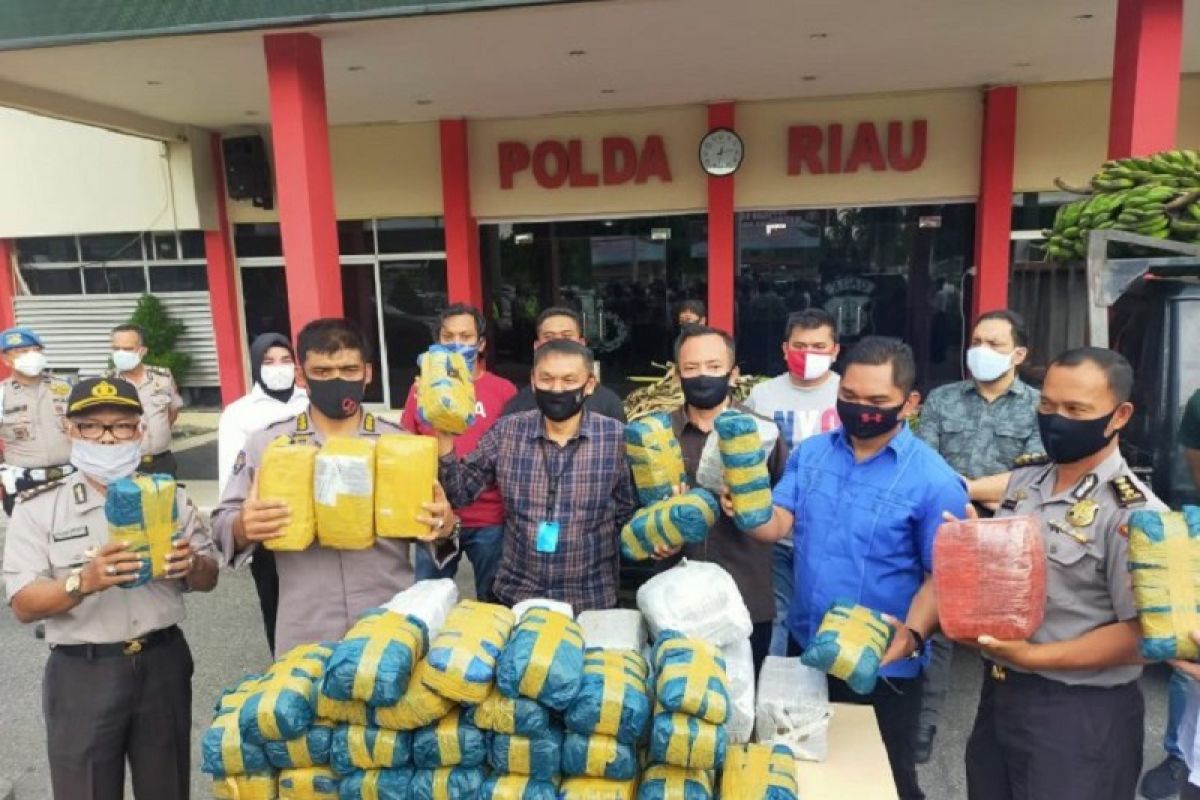 Riau police foil attempt to transport 100-kg dried cannabis