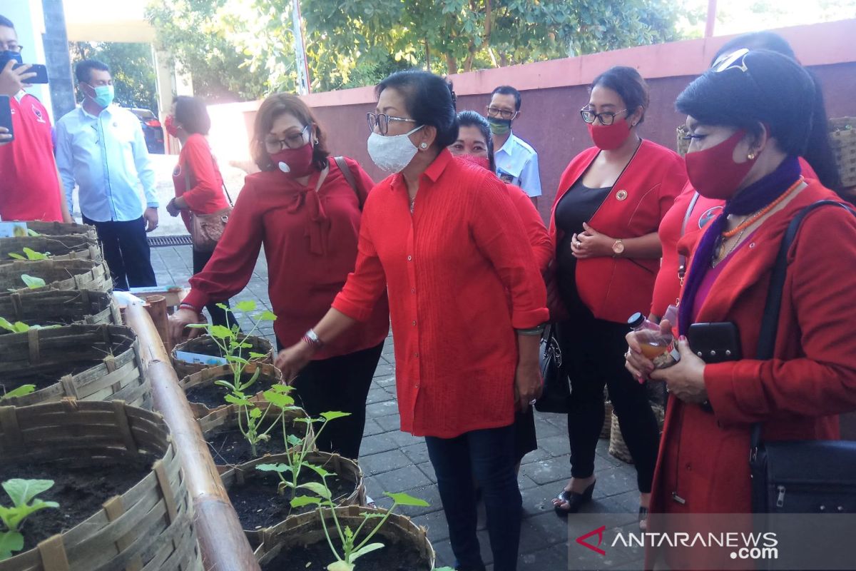 Putri Suastini dukung kader PDIP manfaatkan pekarangan rumah ditanami sayuran