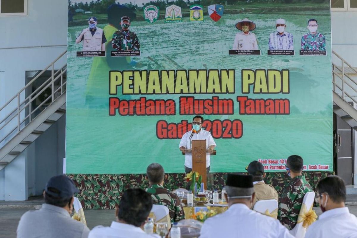 Ini kata Plt Gubernur terkait ketahanan pangan Aceh