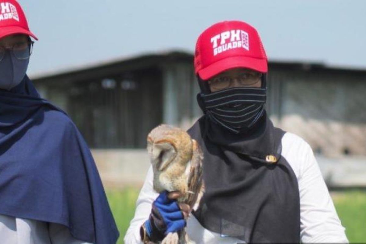 Tekan hama tikus, Disperta Kota Madiun bagikan burung hantu ke petani