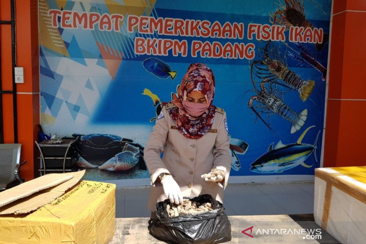 West Sumatra's fish shipments in declined since COVID-19: FQIA
