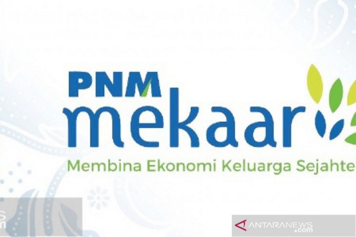 PNM catat sembilan juta nasabah aktif pada triwulan I tahun ini