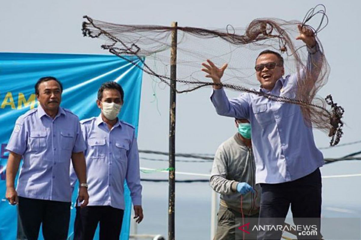 Menteri Edhy ungkap keuntungan dalam berbisnis udang