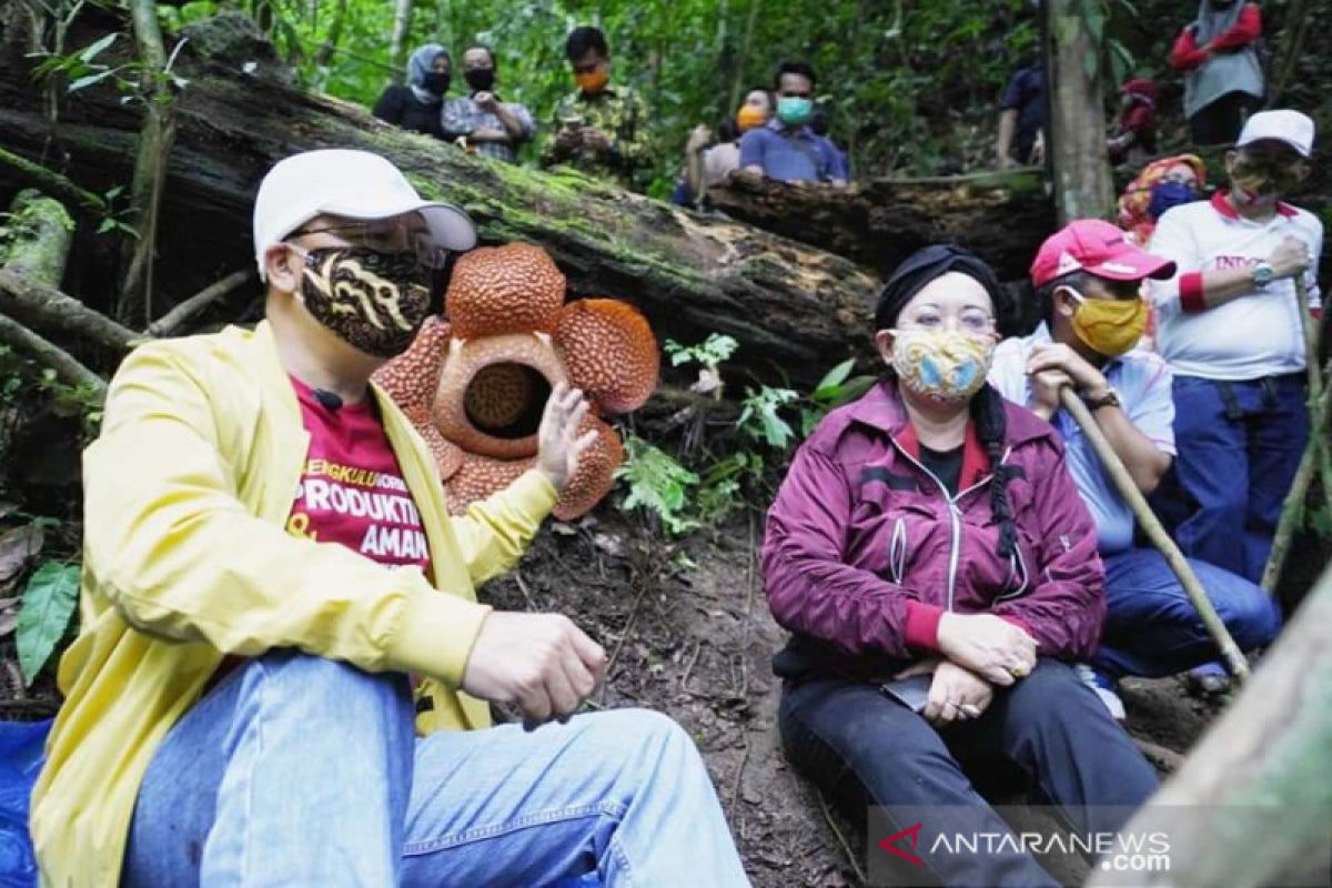 Asosiasi pariwisata di Bengkulu siap terapkan protokol normal baru