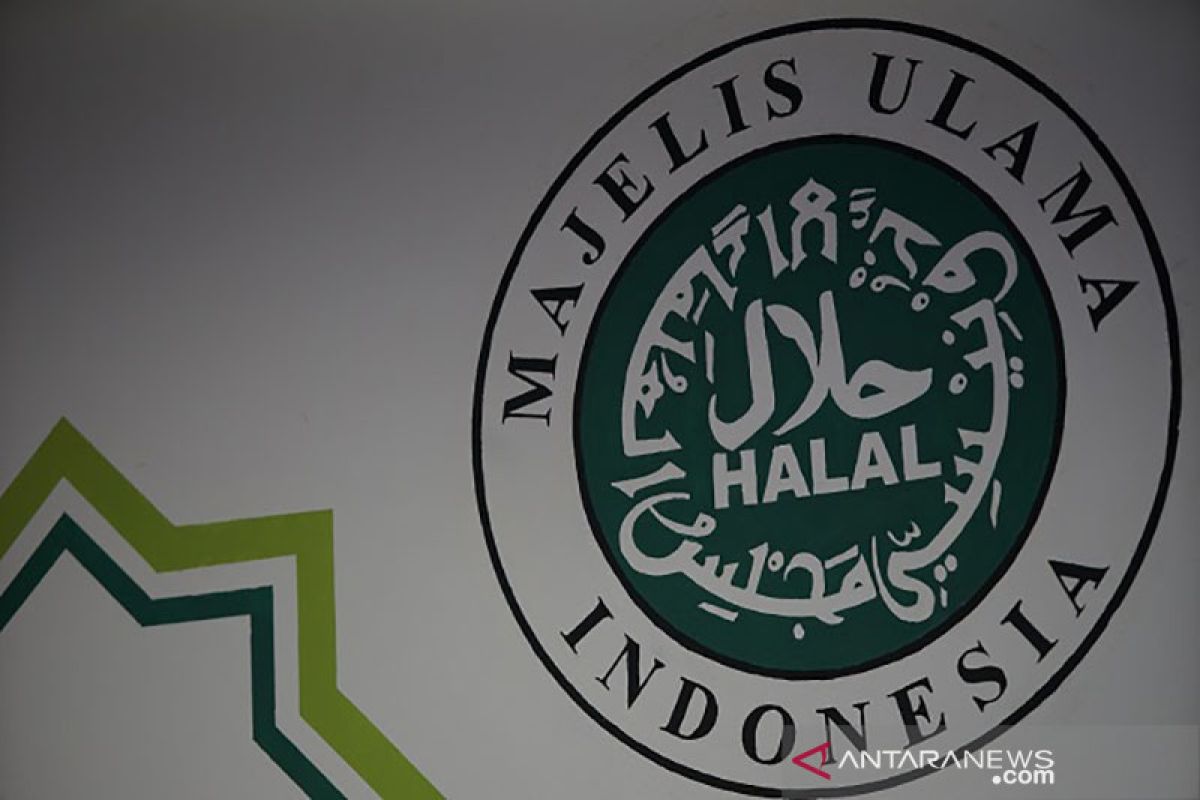 MUI: COVID-19 tidak hentikan sertifikasi halal