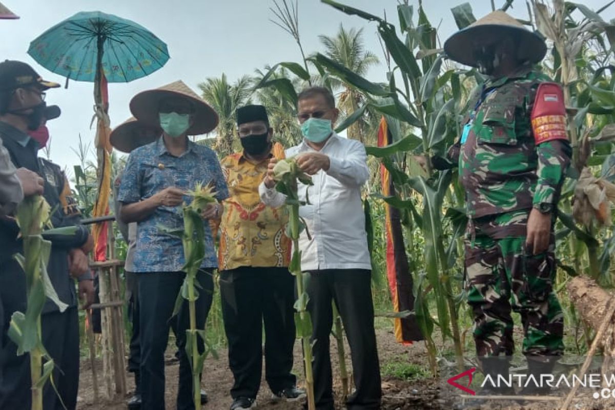 Gubernur Sumbar apresiasi kepolisian ikut jaga ketahanan pangan