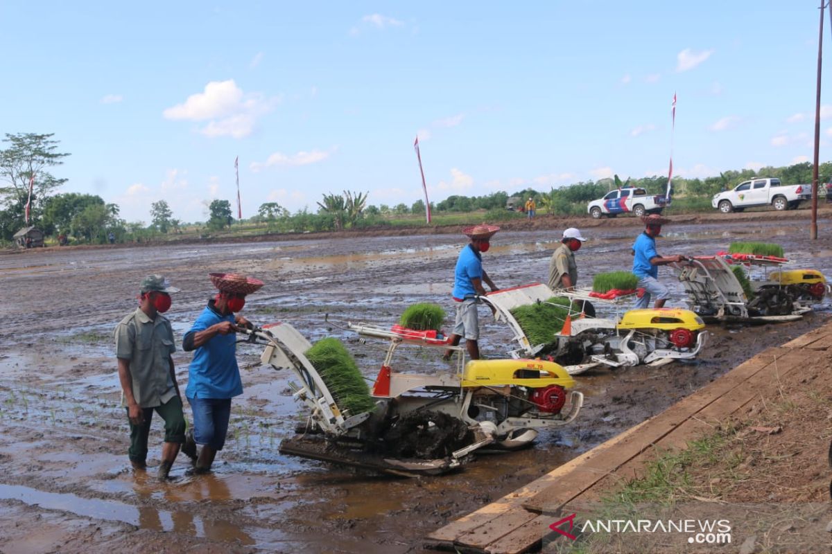 Kunjungi rawa untuk "food estate", Mentan: Ini tantangan yang bagus