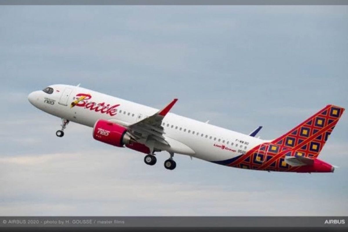 Batik Air tunda layani penerbangan ke Timika karena penumpangnya sedikit