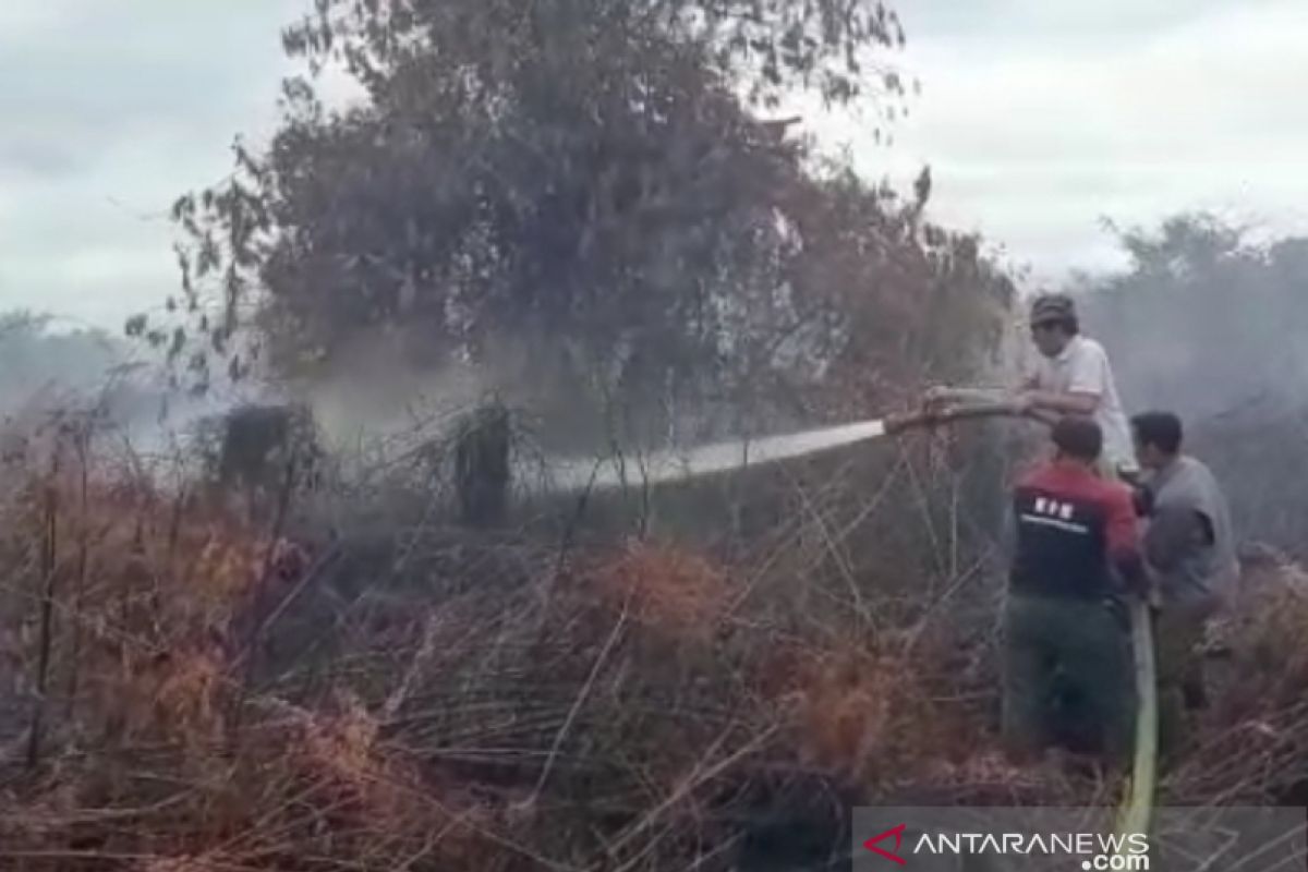 Karhutla di Aceh Barat masih terjadi, lahan terbakar capai 2,1 Hektare