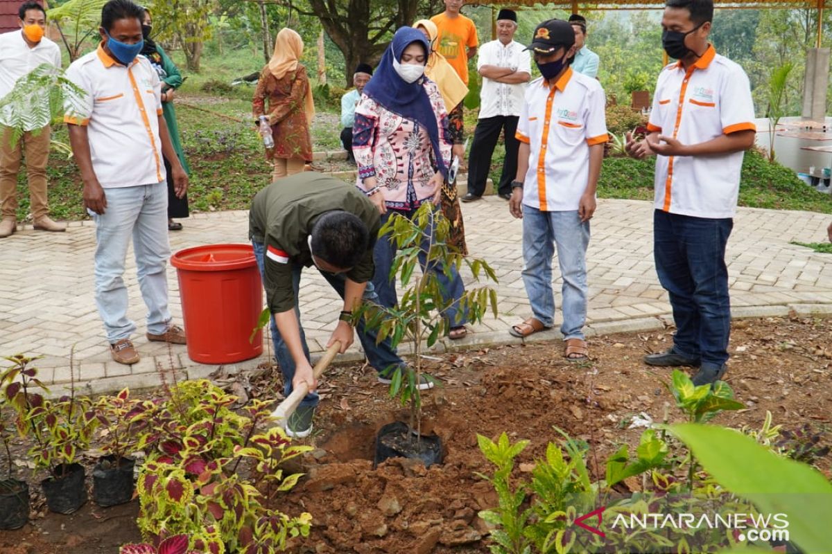 Gandeng petani, Agropolis kembangkan durian unggul 250 ha