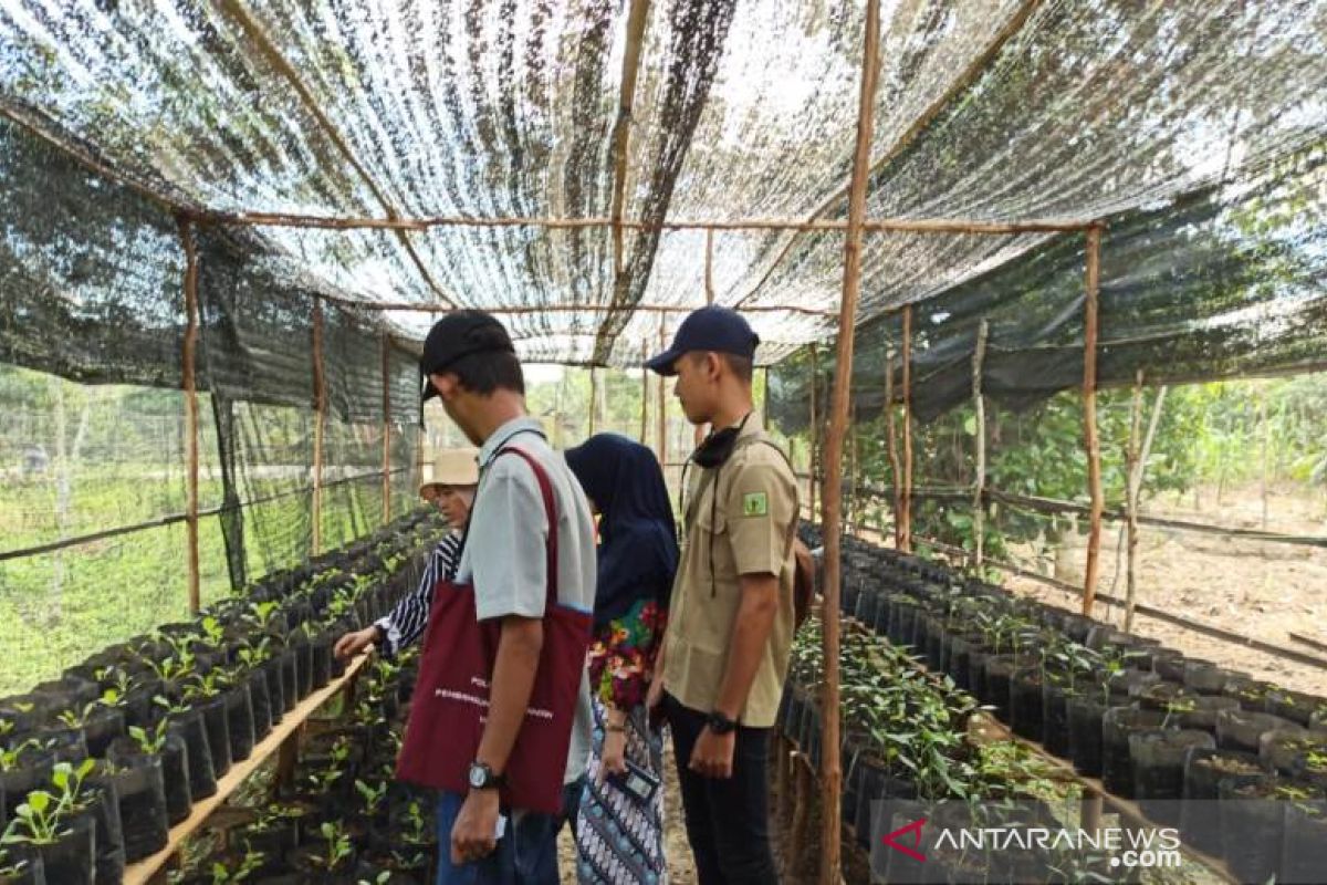 Mahasiswa Polbangtan Medan giat ajak KWT di Sumsel bercocok tanam