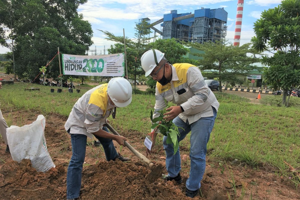 PT MSW tanam pohon peringati Hari Lingkungan Hidup Sedunia