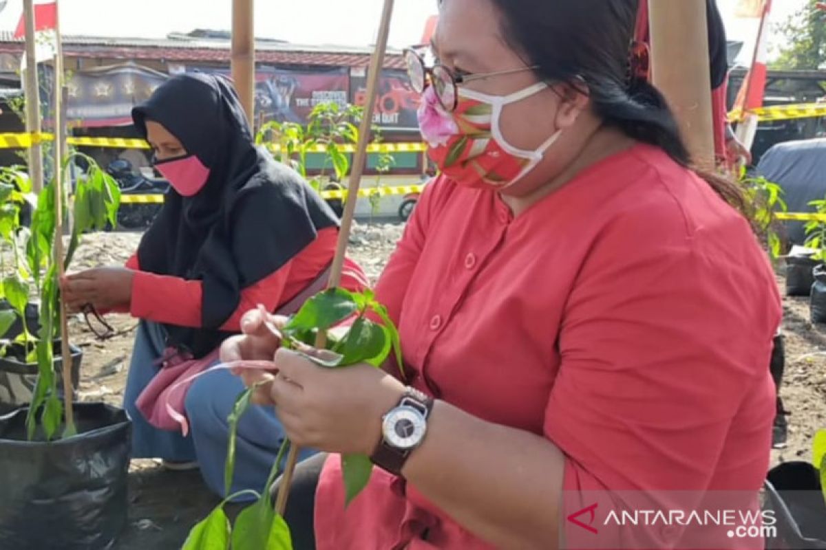 Sudin KPKP Jakarta Pusat tebar 10.000 bibit ikan di Kebon Kosong